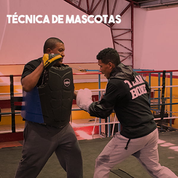 Técnica de Manoplas